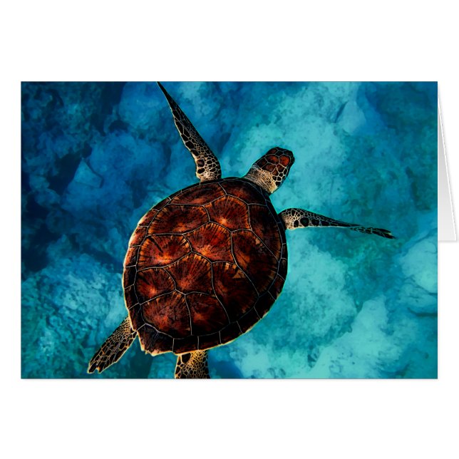 Zee Turtle Beauty (Voorkant Horizontaal)