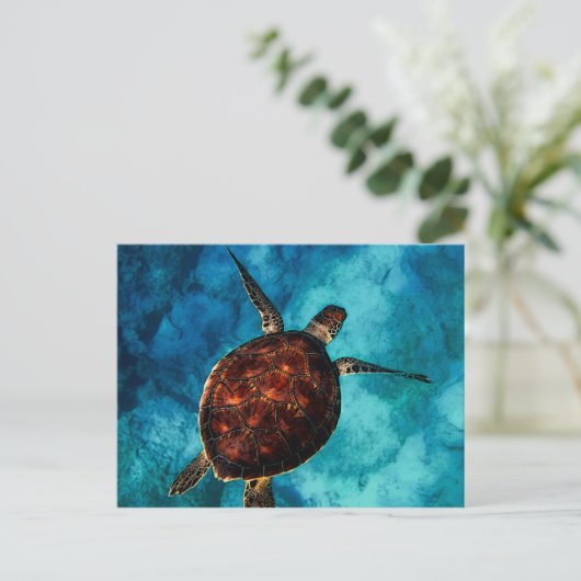 Zee Turtle Beauty Briefkaart (Staand voorkant)