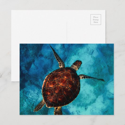 Zee Turtle Beauty Briefkaart (Voorkant / Achterkant)