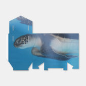 Zee Turtle Bedankdoosjes (Uitgevouwen)