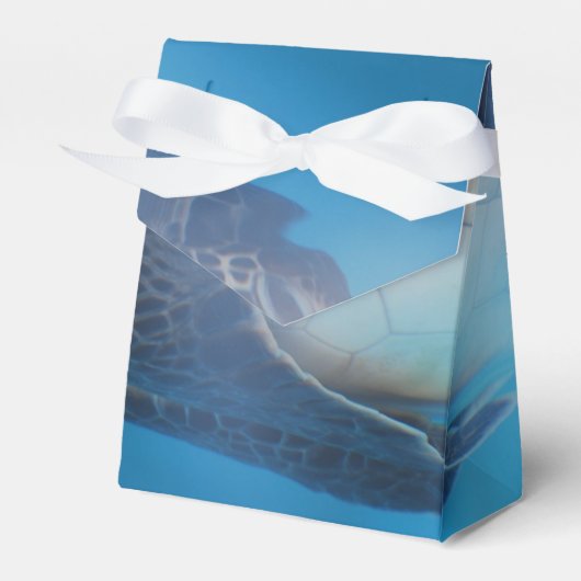 Zee Turtle Bedankdoosjes (Voorkant Zijde)