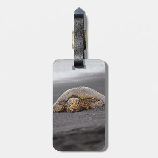 Zee Turtle - Black Sand Beach - Bagagelabel (Achterkant verticaal)