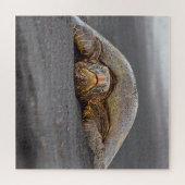 Zee Turtle Black Sand Beach Hawaï - 20x20- 676 pc Legpuzzel (Horizontaal)
