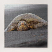 Zee Turtle Black Sand Beach Hawaï - 20x20- 676 pc Legpuzzel (Verticaal)