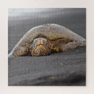 Zee Turtle Black Sand Beach Hawaï - 20x20- 676 pc Legpuzzel