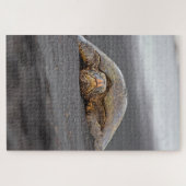 Zee Turtle Black Sand Beach Hawaii -20x30- 1014 pc Legpuzzel (Horizontaal)