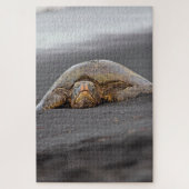 Zee Turtle Black Sand Beach Hawaii -20x30- 1014 pc Legpuzzel (Verticaal)