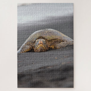 Zee Turtle Black Sand Beach Hawaii -20x30- 1014 pc Legpuzzel