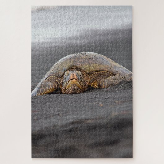 Zee Turtle Black Sand Beach Hawaii -20x30- 1014 pc Legpuzzel (Verticaal)