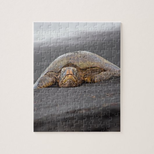Zee Turtle Black Sand Beach Hawaii 8x10 - 110 pc Legpuzzel (Verticaal)