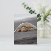 Zee Turtle - Black Sand Beach - Hawaii Briefkaart (Staand voorkant)