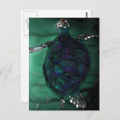 Zee Turtle Briefkaart (Voorkant / Achterkant)