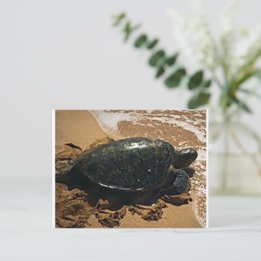 Zee Turtle Briefkaart (Staand voorkant)