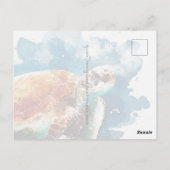 Zee Turtle Briefkaart (Achterkant)