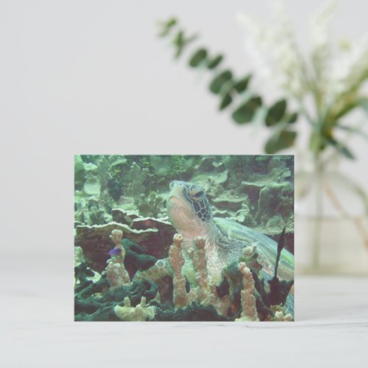 Zee Turtle Briefkaart (Staand voorkant)