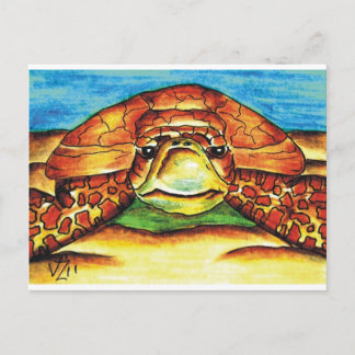 Zee Turtle Briefkaart