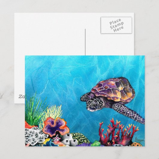 Zee Turtle Briefkaart (Voorkant / Achterkant)