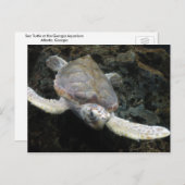 Zee Turtle Briefkaart (Voorkant / Achterkant)