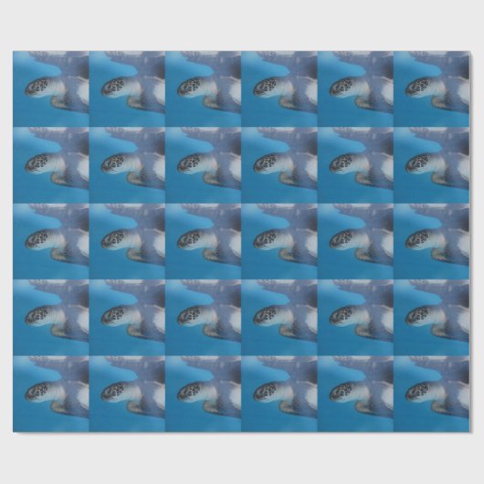 Zee Turtle Cadeaupapier (Vlak)