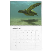 Zee Turtle Calendar van Brad Scott Fotografie Kalender (Feb 2027)