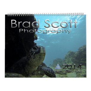 Zee Turtle Calendar van Brad Scott Fotografie Kalender