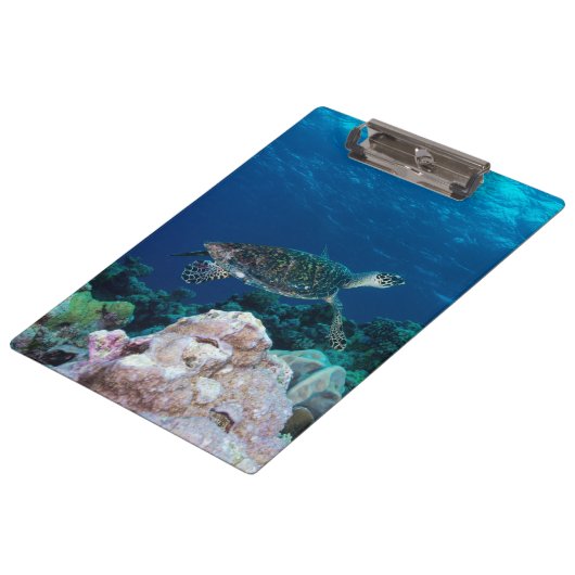 Zee Turtle Cliboard Klembord (Gekanteld)