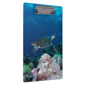 Zee Turtle Cliboard Klembord (Rechts)