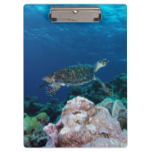 Zee Turtle Cliboard Klembord (Voorkant)