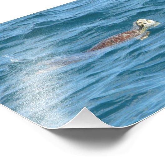 Zee Turtle Foto Afdruk (Hoek)