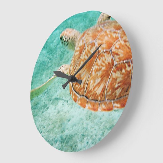 Zee Turtle Grote Klok (Hoek)