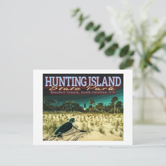 ZEE TURTLE - HUND ISLAND - ZUID CAROLINA US BRIEFKAART (Staand voorkant)