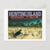 ZEE TURTLE - HUND ISLAND - ZUID CAROLINA US BRIEFKAART (Voorkant)