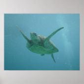 Zee Turtle in Natural Habitat Poster (Voorkant)
