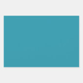 Zee Turtle Inpakpapier Vel (Voorkant 2)