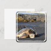 Zee Turtle Invitation Kaart (Voorkant / Achterkant)