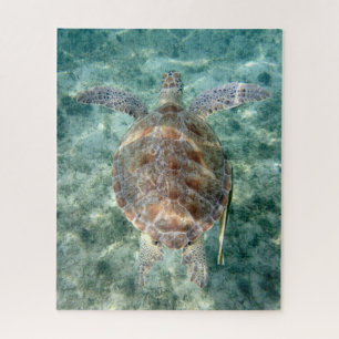 Zee Turtle Legpuzzel