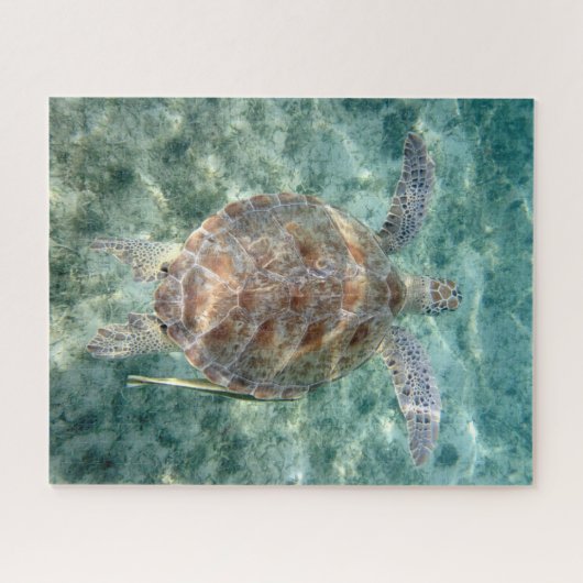 Zee Turtle Legpuzzel (Horizontaal)