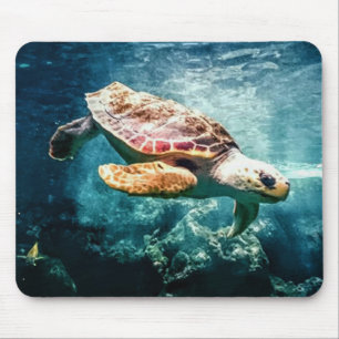 Zee Turtle Loggerhead Ocean Muismat