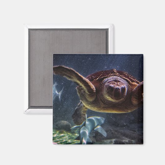 Zee Turtle Magneet (Voorkant / Achterkant)