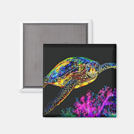 Zee Turtle Magneet (Voorkant / Achterkant)