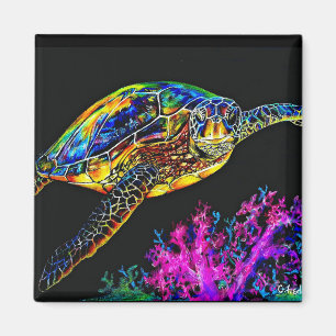 Zee Turtle Magneet