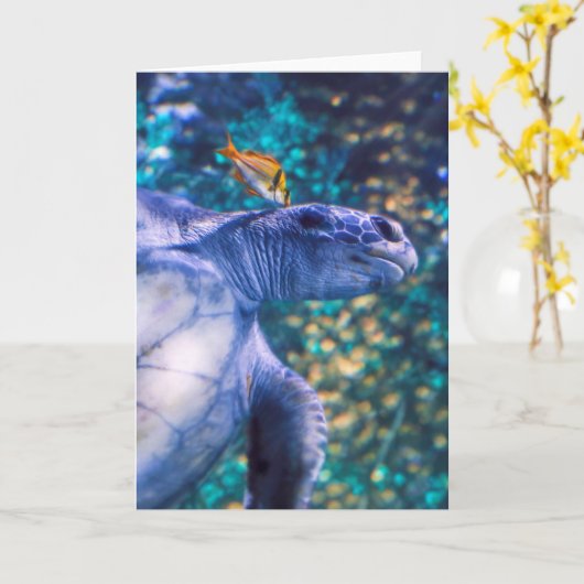 ZEE TURTLE MANICTION KAART (Gele Bloem)