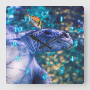 ZEE TURTLE MANICTION VIERKANTE KLOK