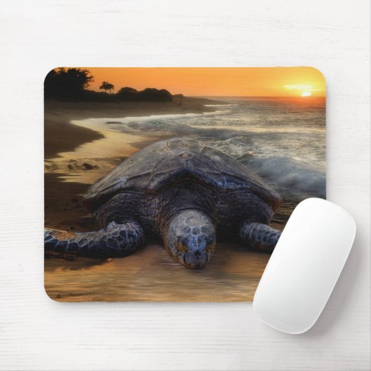 Zee Turtle Mousepad Muismat (Met muis)
