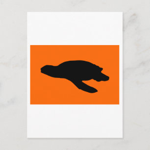 Zee Turtle Nesting Flag Briefkaart
