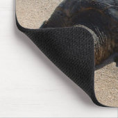 Zee Turtle - Oahu Hawaii Muismat (Hoek)