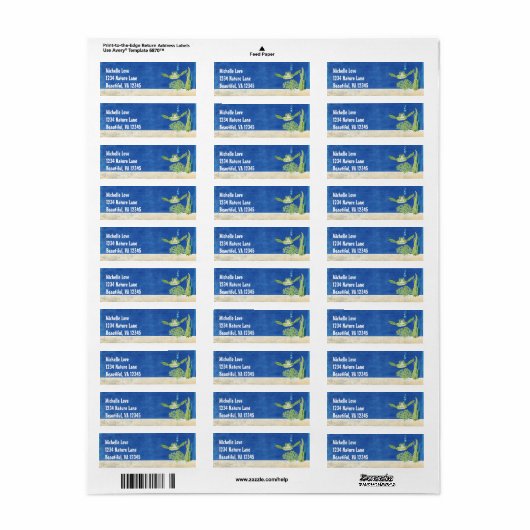 Zee Turtle Ocean Beach Onder het Zee Adres Etiket (Full Sheet)