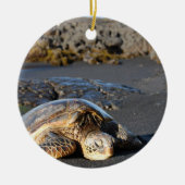 Zee Turtle Ornament (Voorkant)