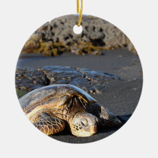 Zee Turtle Ornament (Voorkant)