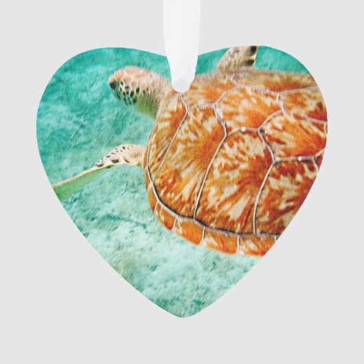 Zee Turtle Ornament (voorkant)